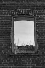windows in a brick wall