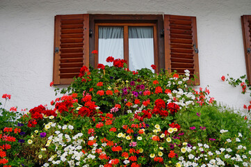Fototapeta na wymiar a beautiful window of a traditional rustic German house with geraniums in the Bavarian village Garmisch-Partenkirchen(Garmisch, Bavaria, Germany) 