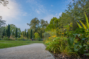 path in the park