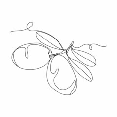 Continuous one line drawing of olives with leaves in silhouette on a white background. Linear stylized.