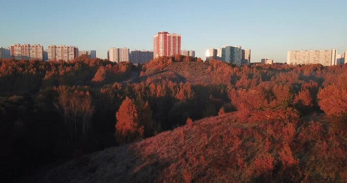 4K bright sunny autumn morning aerial drone video of hills and yellow red forest in Moscow, Russia