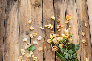 Getrocknete Rosen auf Untergrund aus Holz
