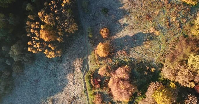 4K bright sunny autumn morning aerial drone video of hills and yellow red forest in Moscow, Russia