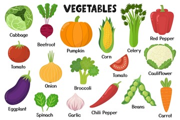 Vegetables collection. Healthy food isolated elements in cartoon style. Great for recipes, cookbook and vegan prints. Cabbage, pumpkin, corn, tomato and other. Vector illustration