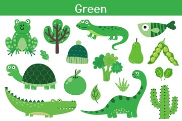 Fototapeta premium Green color objects set. Learning colors for kids. Cute elements collection. Educational background. Vector illustration