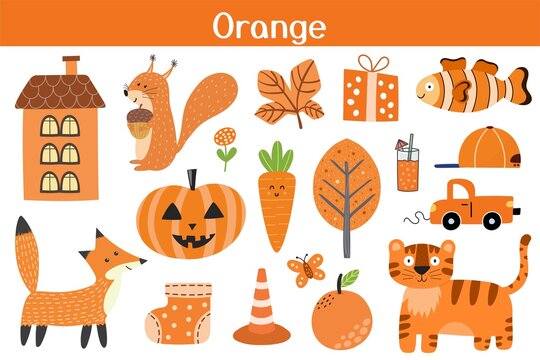 Orange color objects set. Learning colors for kids. Cute elements collection. Educational background. Vector illustration