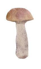 Watercolor images of the boletus mushroom, ideas for the design of notebooks, packaging, covers, as a botanical illustration for the design of books of the corresponding orientation. 
