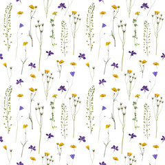 dried flowers yellow and purple dried flowers herbarium summer wildflowers on white background seamless images