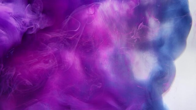 Ink water drop. Color splash. Logo reveal effect. Fluid explosion animation. Neon pink purple blue glitter fume cloud mix motion on white background for intro.