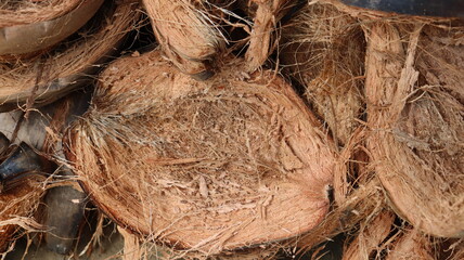 close up of coconut shell 