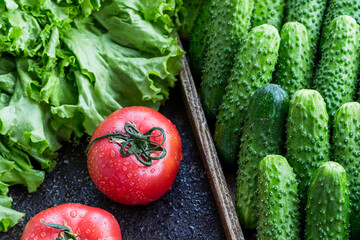 Fresh cucumbers, tomatoes and lettuce leaves on a dark background