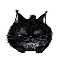 watercolor illustration cute ink cat