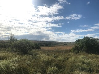 Obraz premium landscape with clouds