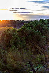 Fototapeta premium Puesta de sol en coca, Segovia
