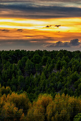 Atardecer en Coca, Segovia