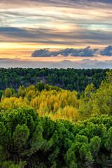 Naklejka premium Colores al atardecer