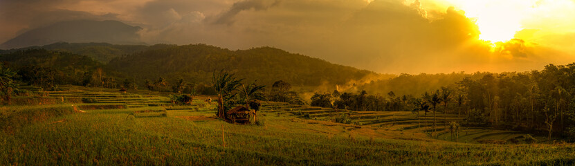 Fototapeta premium sunset over the field