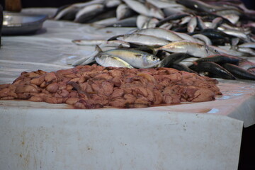 Fish eggs meals on the local market 
