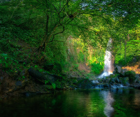 Fototapeta na wymiar waterfall in the woods