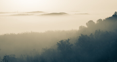 Landscape with morning fog Algarve Portugal.