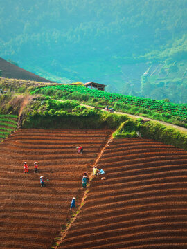 farmers working 