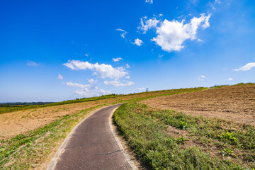 Fototapeta na wymiar 【自然】青空の下の草原と道　背景素材 