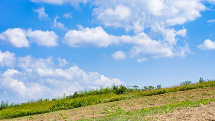 Fototapeta na wymiar 【自然】青空の下の草原と丘 