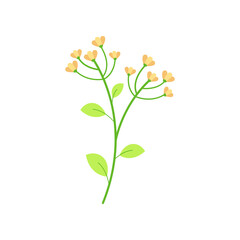 little flower vector illustration design on white background