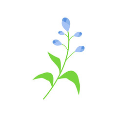 Obraz na płótnie Canvas little purple flower vector illustration design on white background