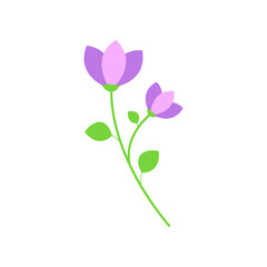 purple tulip flower vector illustration design on white background