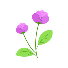 tulip flower vector illustration design on white background