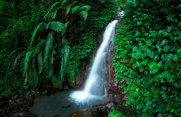 waterfall in the jungle