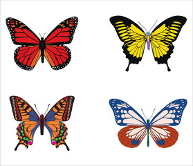Fototapeta na wymiar Beautiful Butterflies Collection Of Four