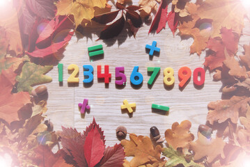 Fototapeta premium back to school