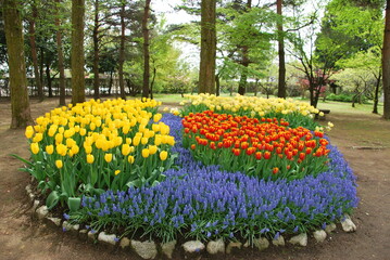 砺波チューリップ公園