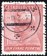 Postage stamps of the Czechoslovakia. Stamp printed in the Czechoslovakia. Stamp printed by Czechoslovakia.