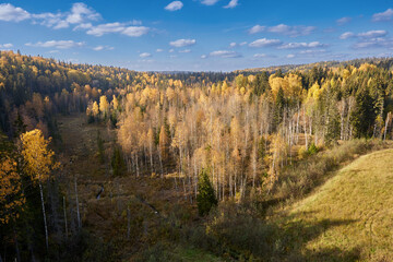 View from above of sunny yellow autumn forest.