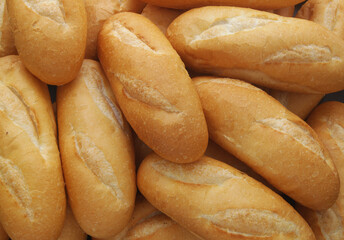 Many fresh wheat bread buns as background