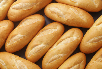 Many fresh wheat bread buns as background