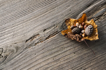 木製テーブルの上の木の実