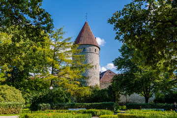 20.08.2021 30 Jahre Estland, Freiheitstag in Tallinn