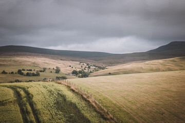 Fototapeta na wymiar Fields in the Yorkshire Dales, England.