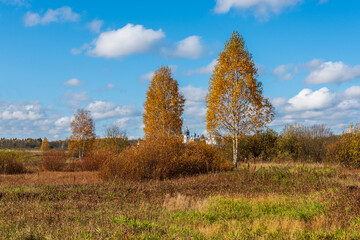 Obraz premium Autumn landscape with an ancient monastery in the background.