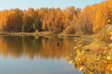 European autumn landscape. Autumn in Belarus. October has come. A fisherman catches fish in the water.