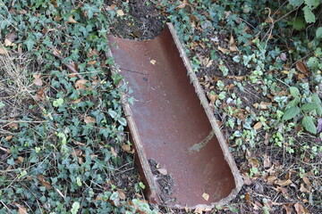 tonrohr wasserrohr ton rohr efeu natur alt