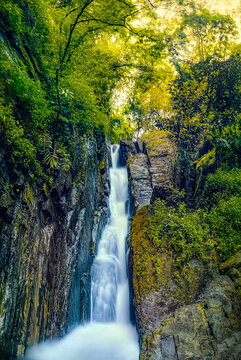 waterfall in the jungle