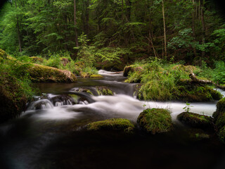 smooth motion of wild water in a river in summer with rocks and stones in the beautiful nature of a forest