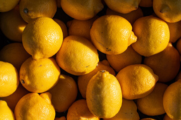 Fresh lemons in the sun by day at the market 