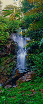 waterfall in the forest