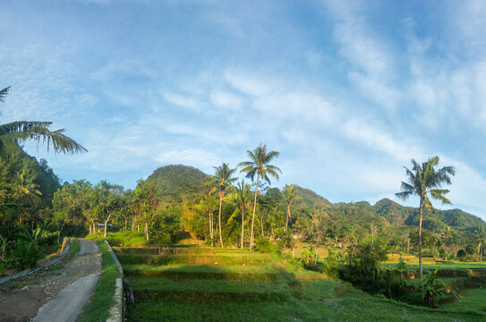 rajagaluh hills